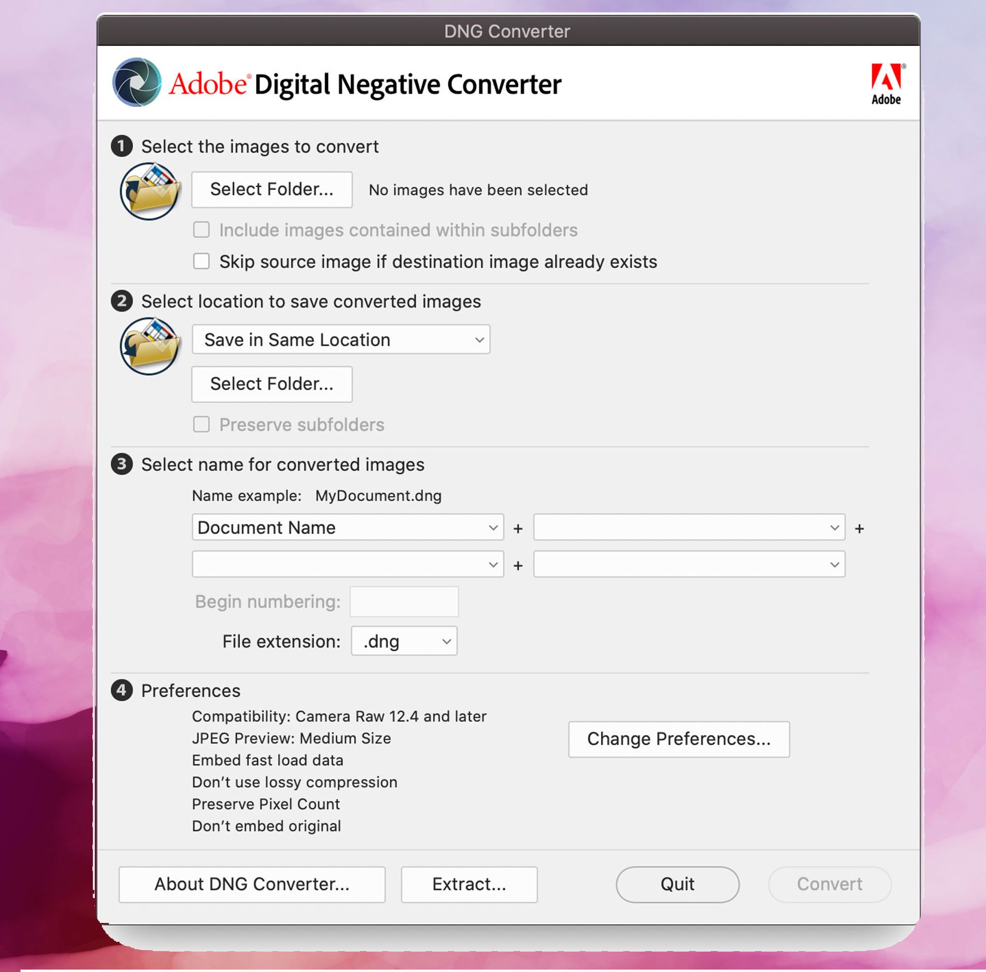 Tangkapan layar Adobe DNG Converter, Mengkonversi Gambar DNG ke JPEG..