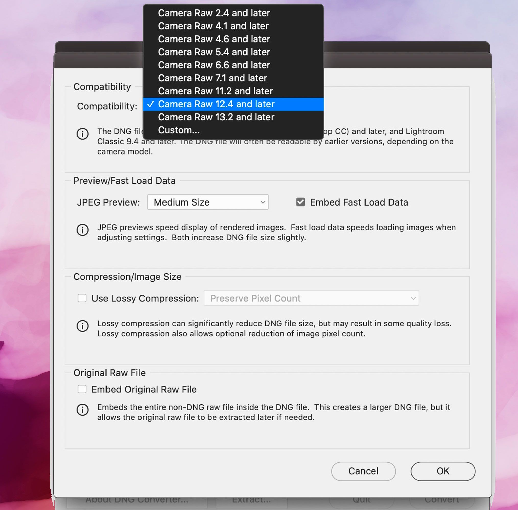 Tangkapan layar Adobe DNG Converter, Preferensi Kompatibilitas..