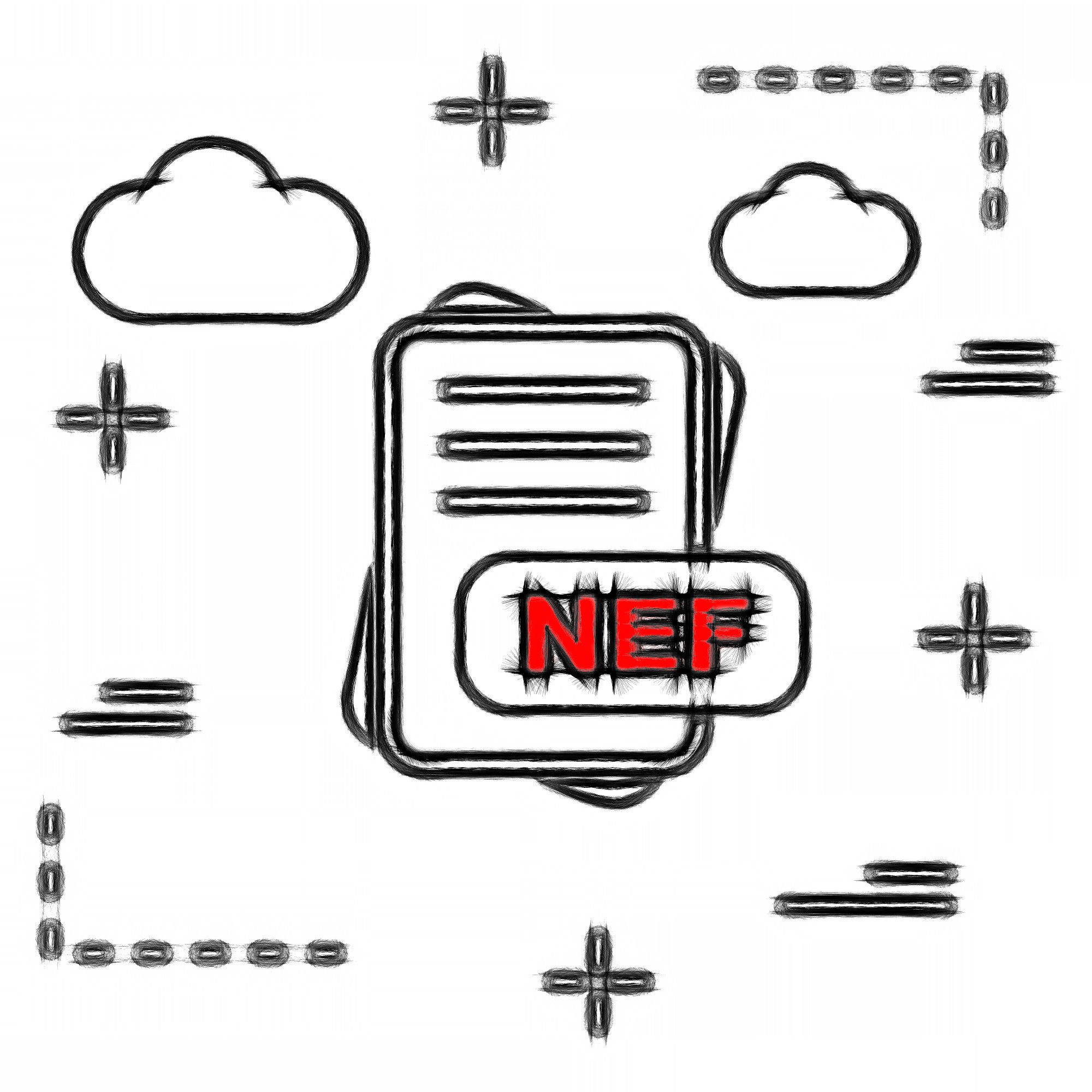Format file NEF (Nikon Electronic Format):..