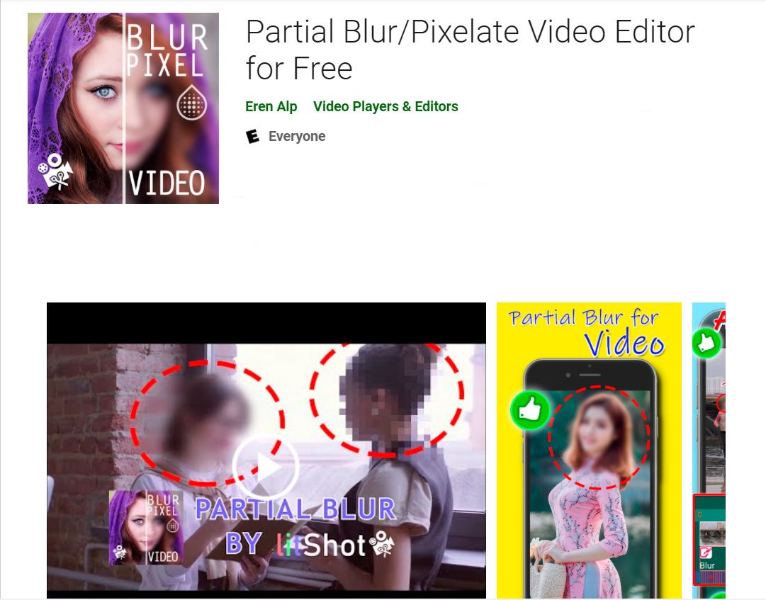Editor Video Partial Blur/Pixelate..